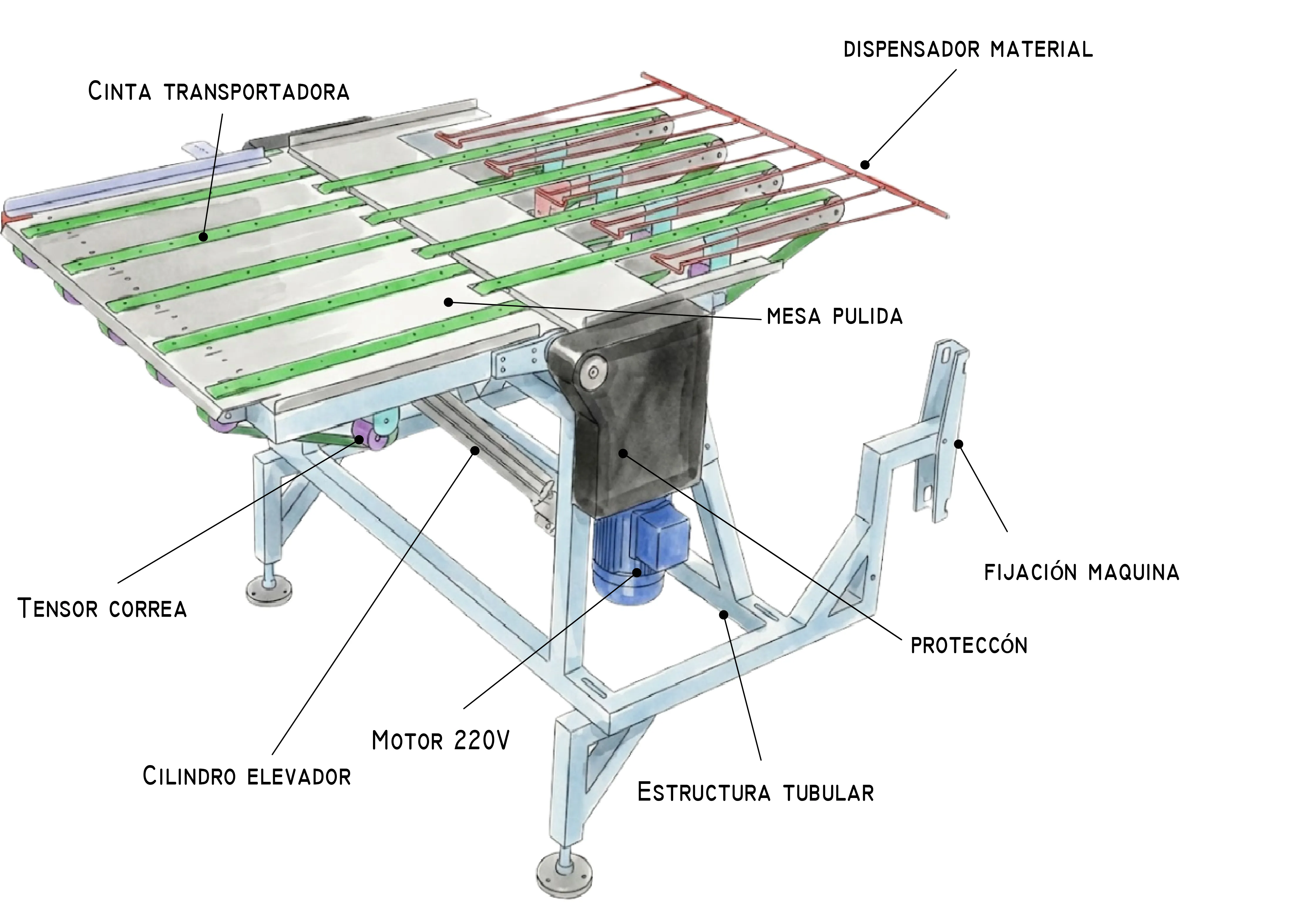 Módulo transportador